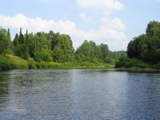Река Великая, август (Дмитрий Зонов)