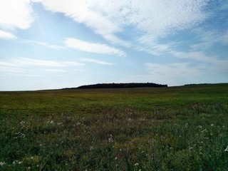 Природа недалеко от Волково (Vladok373737)