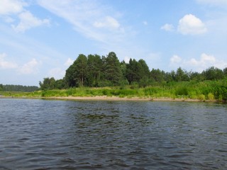 Сосенки на берегу (Дмитрий Зонов)