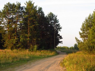 Дорога к с.Чудиново (Дмитрий Зонов)