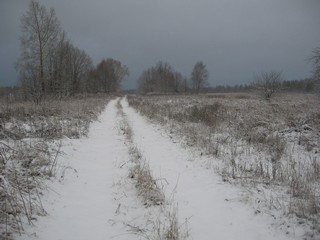 д.Русаки 2010г (vvvgggkkk000)