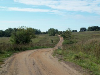 Полевая дорога (Дмитрий Зонов)