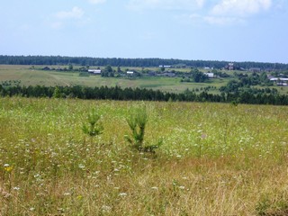 Вид на Чащины с питерской горы 2009г (vvvgggkkk000)