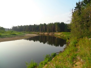 Кошкич р. Великая (bokax)