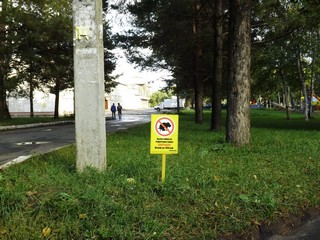 Низзя! (Дмитрий Зонов)