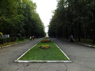 Аллея парка (Дмитрий Зонов)