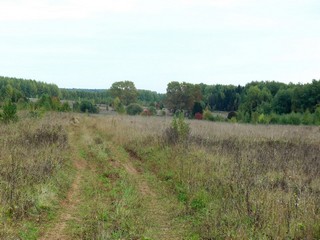 Дорога к б/д Булычево (Дмитрий Зонов)