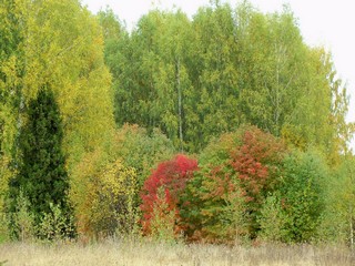 Сентябрь (Дмитрий Зонов)