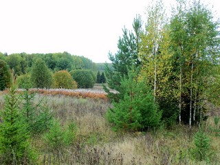 Сентябрь у Булычево (Дмитрий Зонов)