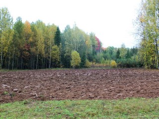 Осенняя пашня (Дмитрий Зонов)