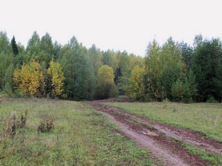 Дорога в сентябрь (Дмитрий Зонов)