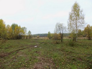 Дождливый день (Дмитрий Зонов)