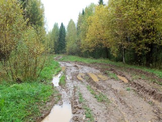 Сентябрьская дорога на Ситники (Дмитрий Зонов)