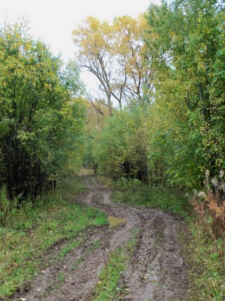 Бывшая главная улица Шурского (Дмитрий Зонов)