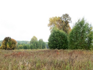 Тут было большое село (Дмитрий Зонов)