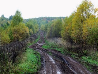 Спуск от Полян в сторону д.Долгое (Дмитрий Зонов)