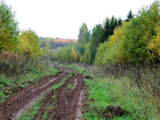 Дорога в сторону Полян (Дмитрий Зонов)