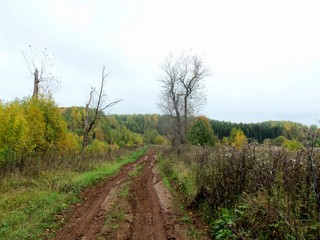 В б/д Слудины (Скудины) (Дмитрий Зонов)