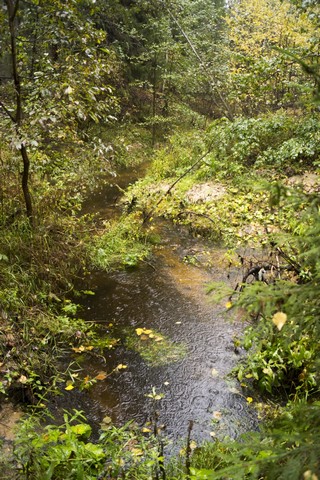 река Кужерка (Rashit Zagidoullin)