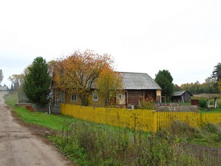 Дом с кедрами (Дмитрий Зонов)