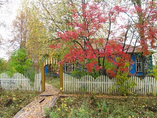 Начальная школа, с.Монастырское (Дмитрий Зонов)