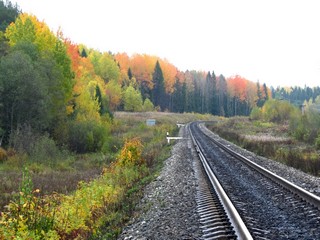 Поворот у Шивановки (Дмитрий Зонов)