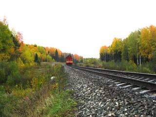 Сентябрьская мимикрия (Дмитрий Зонов)