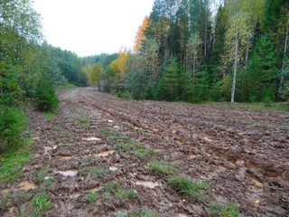 Оффроад (bokax)