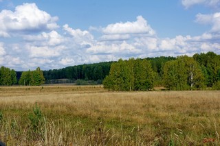 Осенний пейзаж (gtn_58)