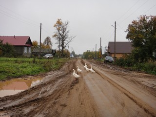 Д.Чуваши (hunterfish71)