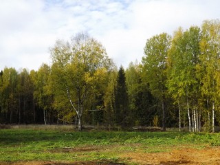 Начало октября (Дмитрий Зонов)