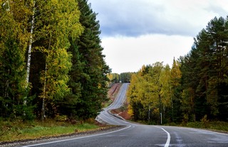 Дорога в Игринском районе. Удмуртская Республика (radiks)