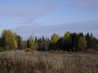 Октябрь у Земцов (Дмитрий Зонов)