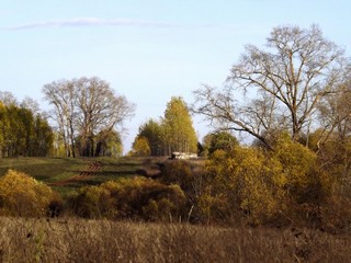 Б/д Баковщина (Дмитрий Зонов)