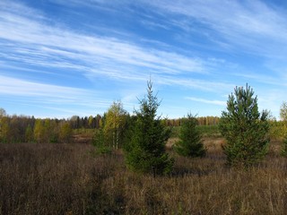 Октябрь, погожий денёк (Дмитрий Зонов)