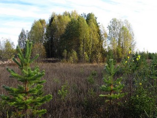 У старой дороги (Дмитрий Зонов)