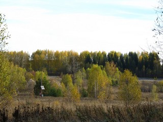 Булычево (Дмитрий Зонов)