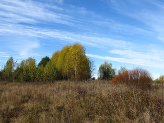 Тут была дорога на Булычево (Дмитрий Зонов)