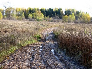 Мостик через приток р.Шивановки (Дмитрий Зонов)