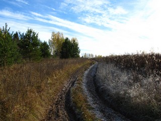 А солнце всё же греет (Дмитрий Зонов)