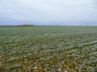 Зуевские поля (bokax)