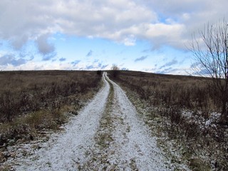 Холм б/д Помзино (Дмитрий Зонов)