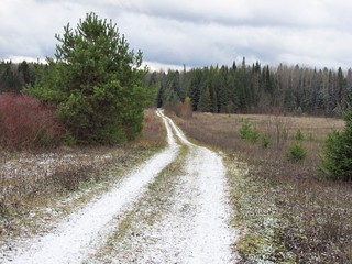 Белая дорога (Дмитрий Зонов)