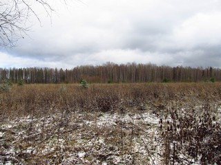 Поле у ур.Курчум (Дмитрий Зонов)