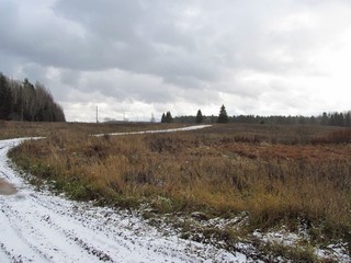 Тут была д.М.Мышкино (Дмитрий Зонов)