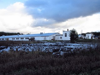 Фермы с.Бобино (Дмитрий Зонов)