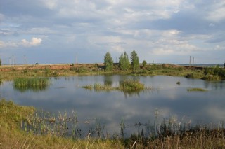 Карьер в Кузьмовыре (Леконцев Владислав Сергеевич)