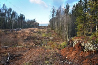 ЛЭП (Денис Логиновский (denlog))