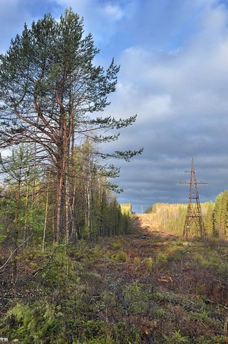 ЛЭП (Денис Логиновский (denlog))