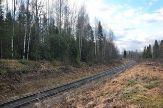 ЖД Верхнекамская-Яр, возле ст.Пещёра (Денис Логиновский (denlog))